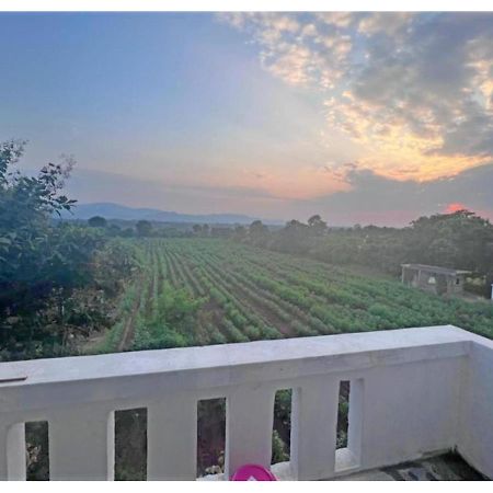 Hari Homestay, Garudeshwar Zewnętrze zdjęcie